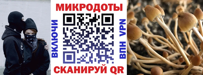 Псилоцибиновые грибы MAGIC MUSHROOMS  закладки  Давлеканово 